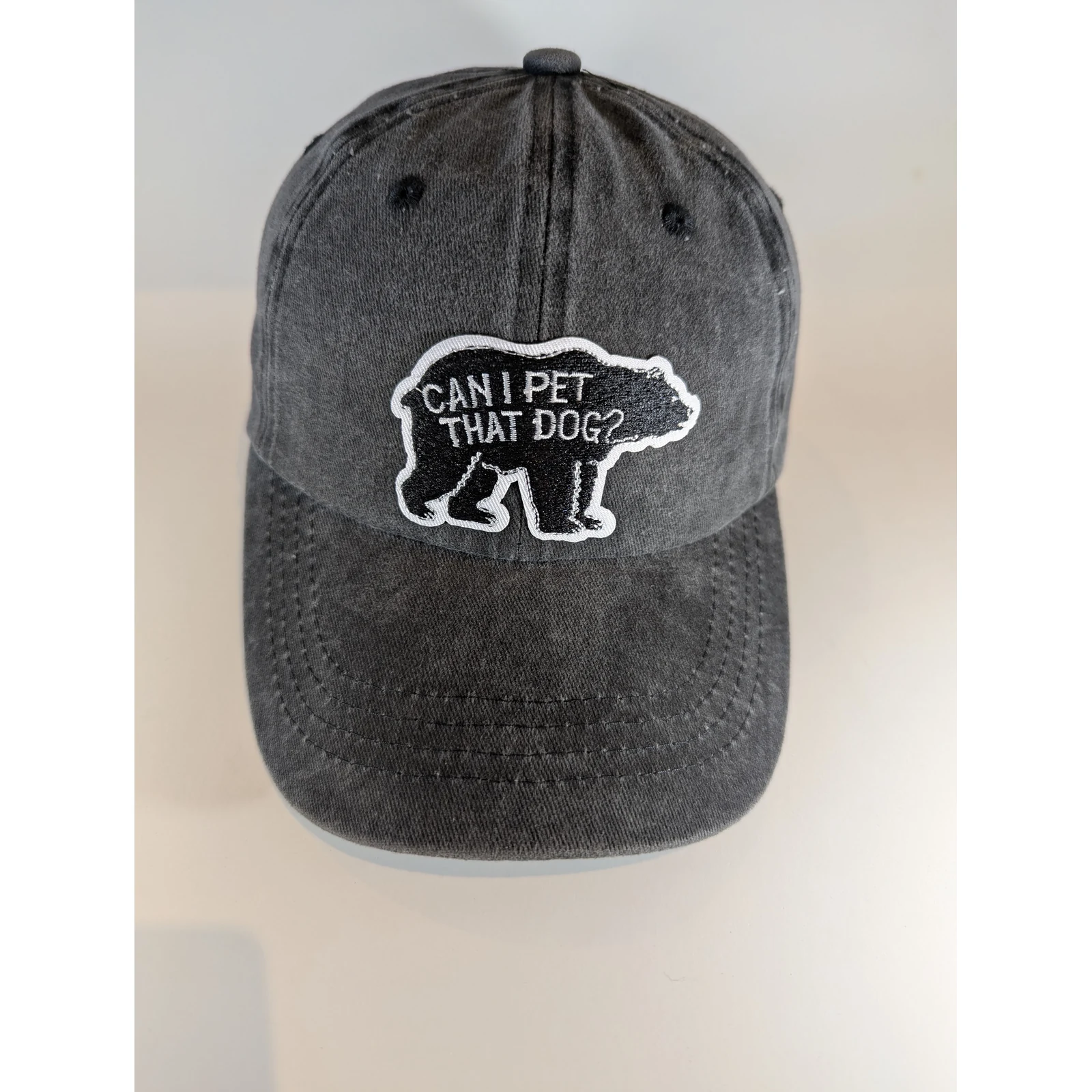 Can I Pet That Dog?